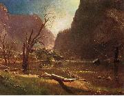 Albert Bierstadt Hetch Hetchy Valley oil painting on canvas
